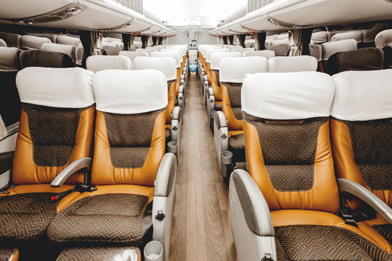 comfy seating on our motor coach buses